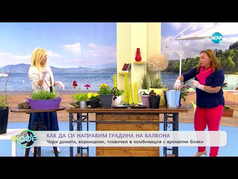 Видео: Как да си направим градина на балкона? - „На кафе” (11.05.2022)