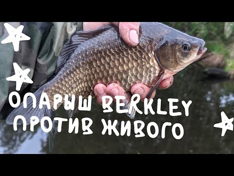 Видео: МОРМЫШИНГ x ОПАРЫШ BERKLEY против ЖИВОГО x КАРАСЬ #49