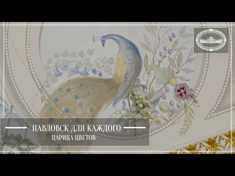 Видео: Павловск для каждого. Царица цветов