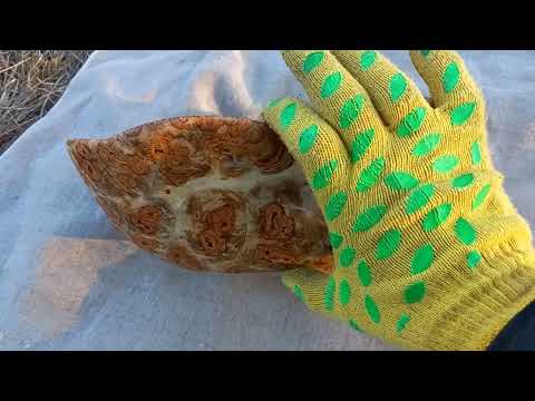 Видео: Чаша из дерева , самый непредсказуемый и разноцветный кап
