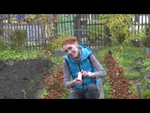 Видео: простые ответы(воры на даче)