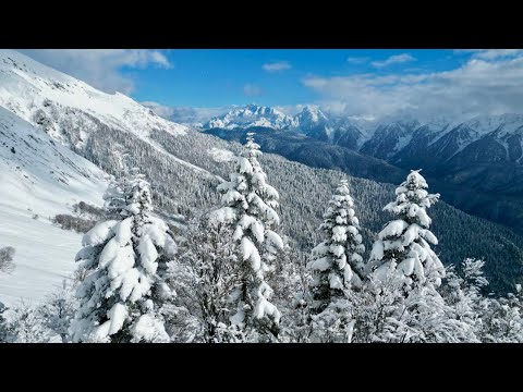 Видео: "Наш Сочи" выпуск 48