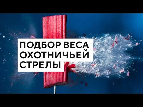 Видео: Подбор веса охотничьей стрелы