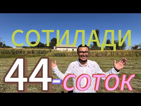 Видео: ЯНА АРЗОН 44-СОТИКЛИ УЙ-ЖОЙ БЕПАЕН ЕРЛАРИ БИЛАН СОТИЛАДИ.