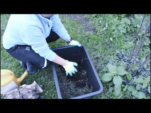 Видео: Доходы из отходов. Вермикомпостер в огороде.
