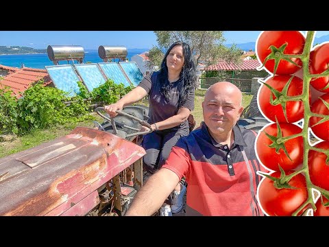 Видео: Колтучат ли в Гърция доматите? Издирваме градинари из Гърция на Великден!