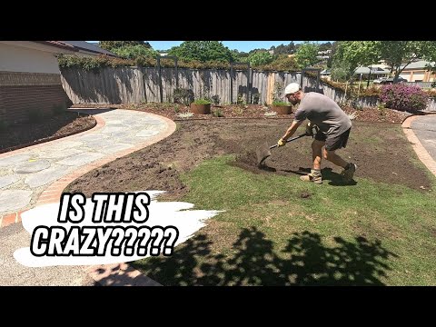 Видео: СНОВА подкармливаю мой новый газон?!?!