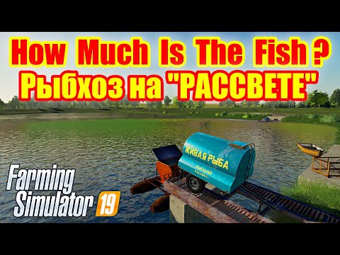Видео: farming simulator 2019 рыбхоз на РАССВЕТЕ !!!