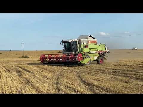 Видео: Уборка ячменя 2025