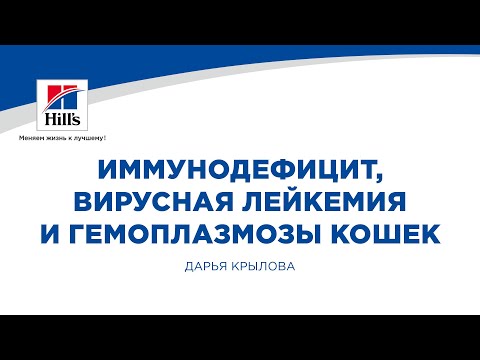 Видео: Вебинар на тему: “Иммунодефицит, вирусная лейкемия и гемоплазмозы кошек. Патогенез и диагностика.”