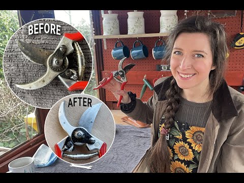 Видео: Как чистить и затачивать секаторы / Домашний сад