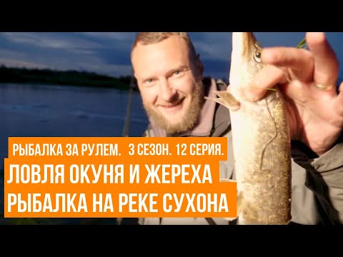 Видео: Ловля окуня и жереха \ Рыбалка на реке Сухона \ Рыбалка за рулем \ 3 сезон