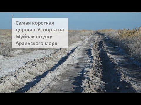 Видео: Самая короткая дорога с Устюрта на Муйнак по дну высохшего Аральского моря