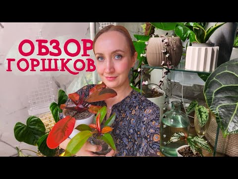 Видео: ОБЗОР Горшков | Горшки для ФИТИЛЬНОГО ПОЛИВА | Горшки и кашпо в моей коллекции 💚