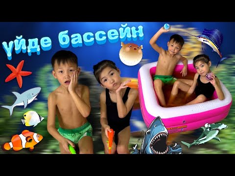Видео: Аликош пен Көзайым үйдің ішінде бассейнге шомылды😱ШОК КОНТЕНТ🏊🏻‍♂️