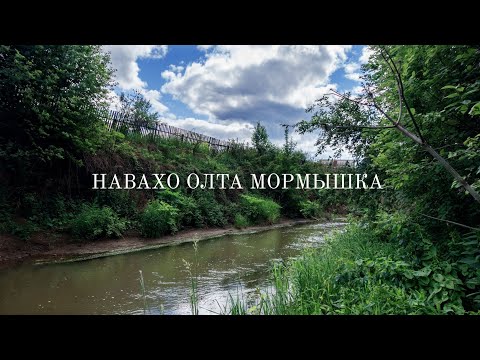 Видео: Ловля в зарослях на микроречке. НАВАХО ОЛЬТА МОРМЫШКА  NA44-562F-S-C
