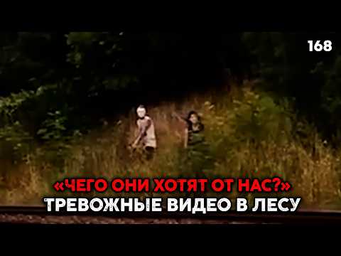 Видео: 6 РЕАЛЬНЫХ ТРЕВОЖНЫХ СЛУЧАЕВ В ЛЕСУ