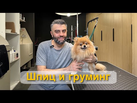 Видео: Шпиц и груминг! Секрет идеальной шерстки!