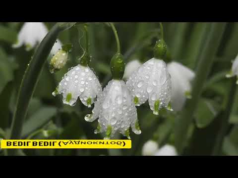Видео: ЯТИМ (Повест)-Қисми 4