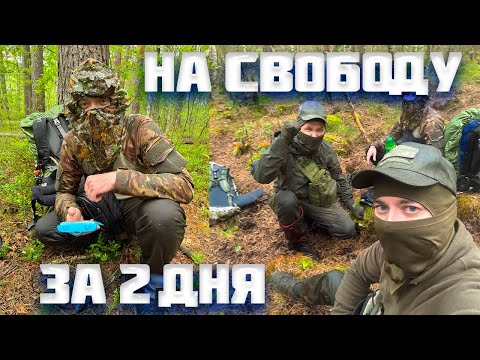 Видео: #267 Это была Прогулка Выходного Дня. Мы вышли в .........