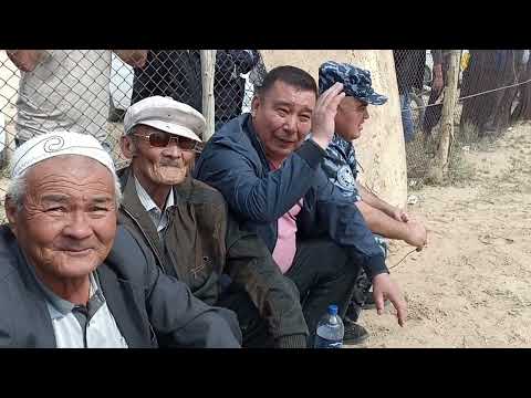 Видео: Каракалпакия поселкасында "Ас"   "Байге"