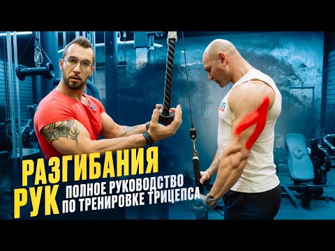 Видео: РАЗГИБАНИЯ РУК: полное руководство по тренировке трицепса