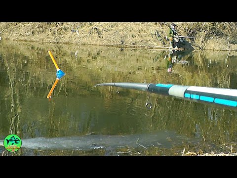 Видео: ЗАКИНУЛ и ПОПЛАВОК УШЕЛ.. Клюет на каждом забросе. Рыбалка на поплавок и фидер весной.