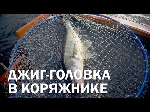 Видео: Ловля с джиг-головкой в коряжнике. Типы приманок, оснащение, техника и тактика