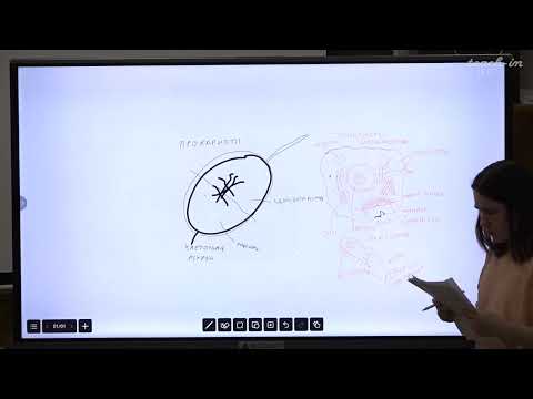 Видео: Гладилин А.К. - Биохимия - 5. Цитология. ЭТЦ