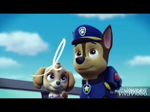 Видео: Заказ Гонщик и Скай ЛЮБОВЬ❤❤❤💖💖💖(я не боюсь)