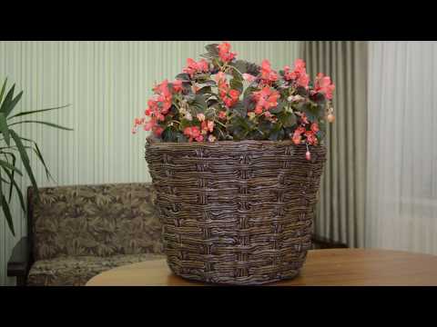 Видео: Кашпо из бетона