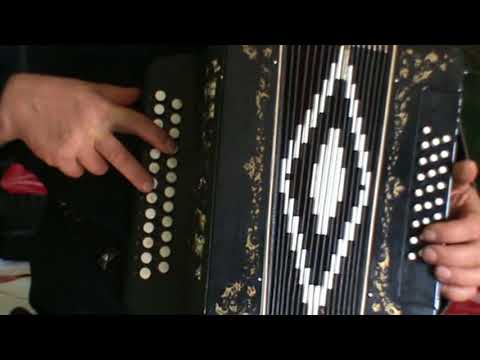 Видео: РАЗБОРЫ! Под гармонь! В САДУ ПРИ ДОЛИНЕ!