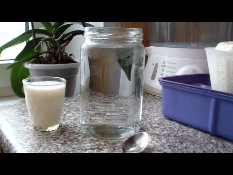 Видео: Как проверить корову на стельность.  Тест на молоке.  Народный метод.Test for pregnancy.