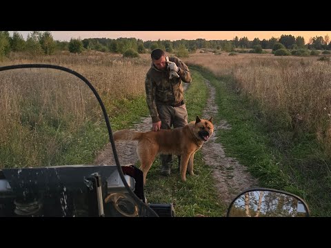 Видео: Yoll добрый стрим. Вечерне-осенний