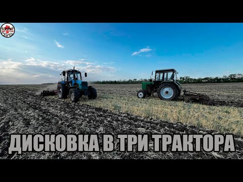 Видео: Завершаем дисковку стерни после уборочной! Дискуем тремя МТЗ 1221.2 и два МТЗ 82.1