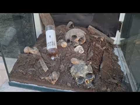 Видео: Будапешт # Будайская крепость # Рыбацкий  бастион # Вазилика Св. Иштвана.