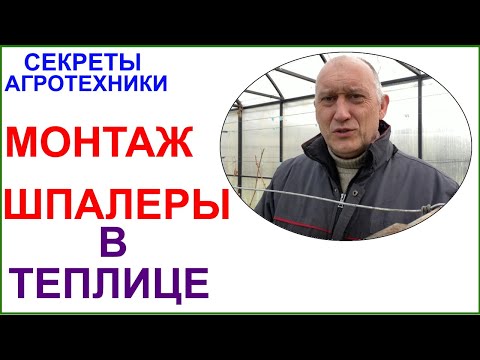 Видео: Шпалера в теплице. Личный опыт и вынужденная реконструкция.