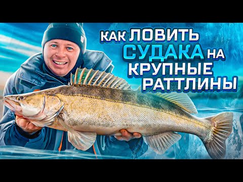Видео: Как ловить судака на крупные вибы и раттлины ? Судак сходит с ума!