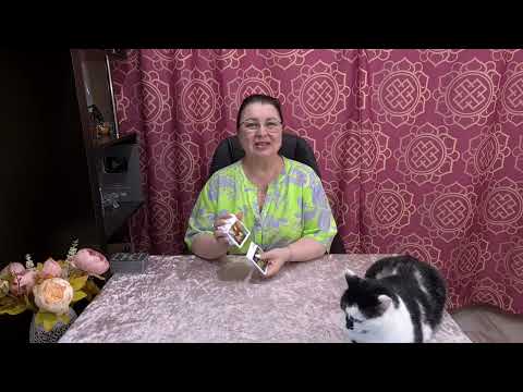 Видео: СПАСИ МЕНЯ! ТЫ НЕ СМОЖЕШЬ ОСТАТЬСЯ РАВНОДУШНОЙ!