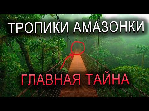Видео: ТРОПИЧЕСКИЕ ЛЕСА АМАЗОНКИ ГЛАВНАЯ ТАЙНА | Мистические истории