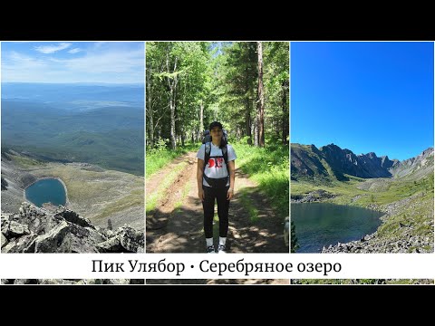 Видео: VLOG: Пик Улябор или как мы ездили кормить паутов