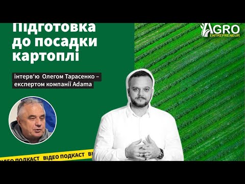 Видео: Підготовка до посадки картоплі – вирішальний етап, від якого залежить майбутній урожай.