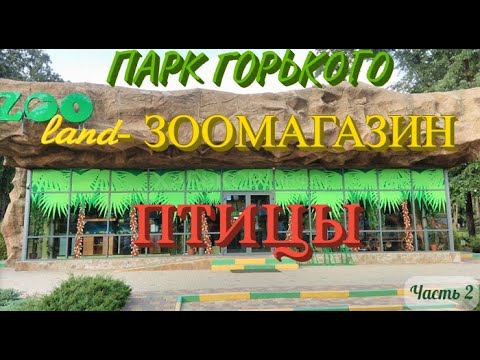 Видео: Парк Горького - ЗООМАГАЗИН-ZOOland. ПТИЦЫ-Амадины Гульда, Японские Амадины, Рисовые Амадины. 2 Часть