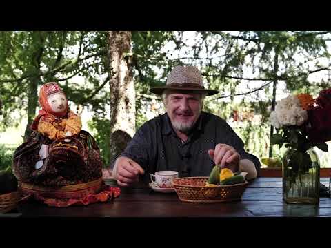 Видео: С. В. Савельев. Ответы на вопросы (2024-07-26)