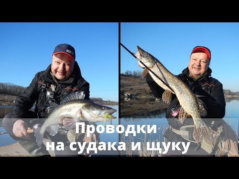 Видео: СЕКРЕТЫ проводок на щуку и судака! Подробно о самых эффективных, их плюсы и минусы