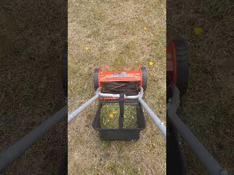 Видео: механическая газонокосилка.плюсы и минусы