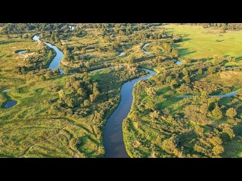 Видео: ВСЁ-ТАКИ НАШЛИ БЕЛОРУССКУЮ ТРЕСКУ!! ПОКЛЁВКА ЗА ПОКЛЁВКОЙ! ДИКИЕ ЗВЕРИ НЕ ДАЮТ СПАТЬ! НАЛИМЬИ ТРОПЫ!