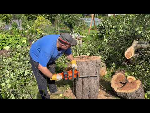 Видео: DACS1642Li показывает себя в работе