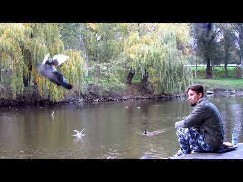 Видео: Воздержание в 340 дней. Что теперь? Комплексы, неуверенность, соц. триггеры, депрессия, уныние.