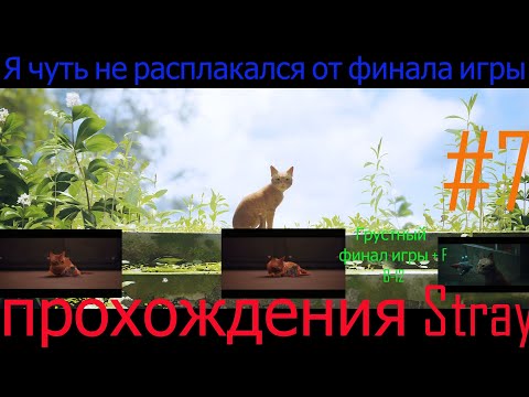 Видео: Сильно грустный и трогательный финал в Stray [Я чуть не расплакался от концовки]
